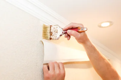 Pose de papier peint à Châtelneuf — revêtements muraux et toiles de verre